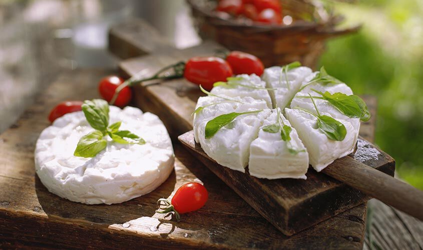 Formaggi - Primo Sale