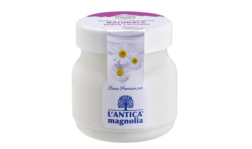Yogurt e dessert - Yogurt Naturale senza lattosio