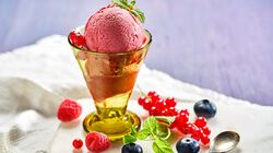 Vaschette - "La Sorbettoseria" Frutti di Bosco