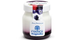Yogurt e dessert - Yogurt della Valtellina Frutti di bosco