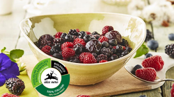Biologico - Frutti di Bosco BIO