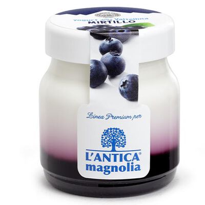 Yogurt e dessert - Yogurt della Valtellina Mirtillo