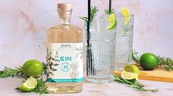 Liquori - Gin43