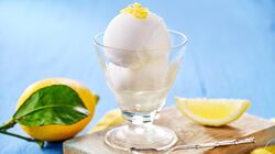 Vaschette - "La Sorbettoseria" Limone