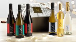 Vini Bianchi - Selezione Vini