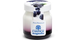 Yogurt e dessert - Yogurt della Valtellina Mirtillo