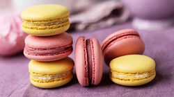 Torte e Dessert - Sc. 20% Macarons Limone e Lampone