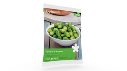 Promozione Mini Formati - Cavoletti di Bruxelles