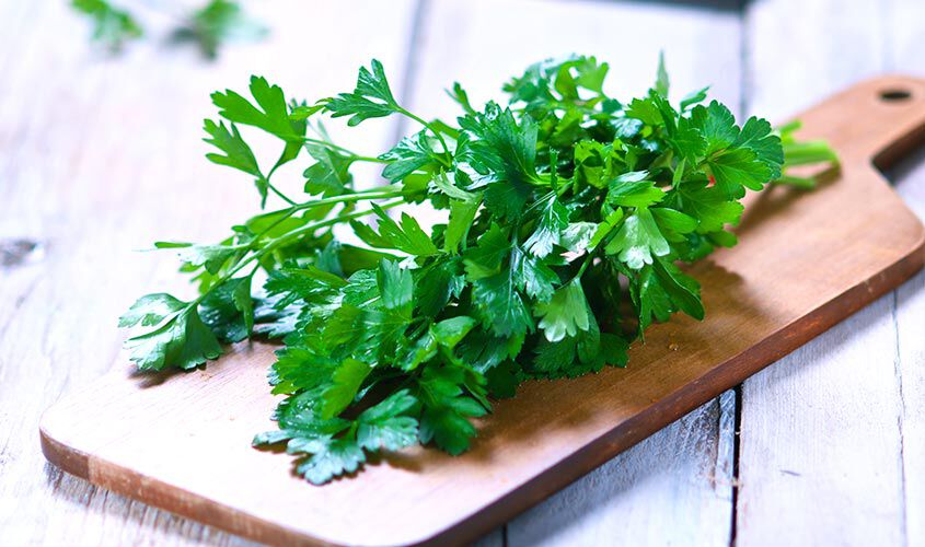 Erbe e aromi - Il "dosafacileprezzemolo