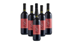 Vini in offerta - Offerta 6 Cabernet Trevenezie IGT