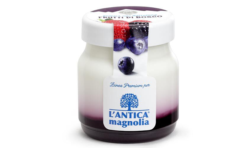 Yogurt e dessert - Yogurt della Valtellina Frutti di bosco