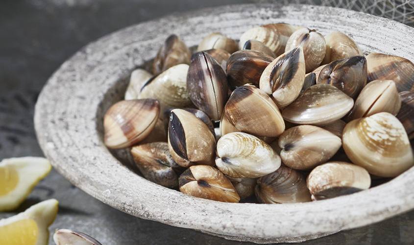 Vongole del Pacifico