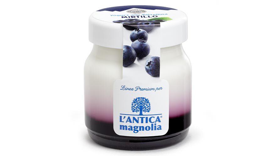 Yogurt della Valtellina Mirtillo
