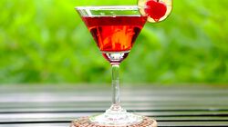 Cocktail Rossini Bofrost