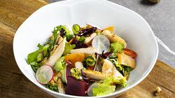 Insalata 2.0 Bofrost