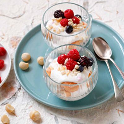 Mattonella ai frutti di bosco Bofrost