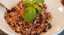 Insalata mediterranea Bofrost youtube