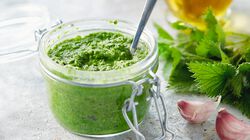 Crema al profumo di Basilico Bofrost