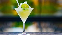 Cocktail Cetrioli e Limone Bofrost