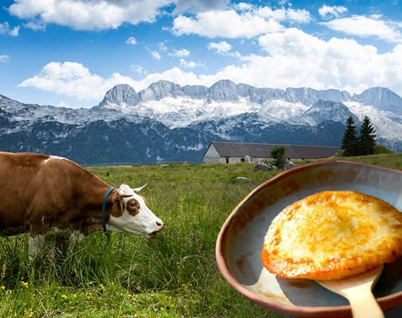 Il Frico di Montasio DOP, capolavoro della tradizione culinaria friulana