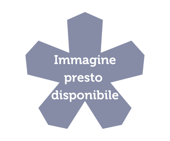 Doppia bontà Arancino Spinaci & Classico